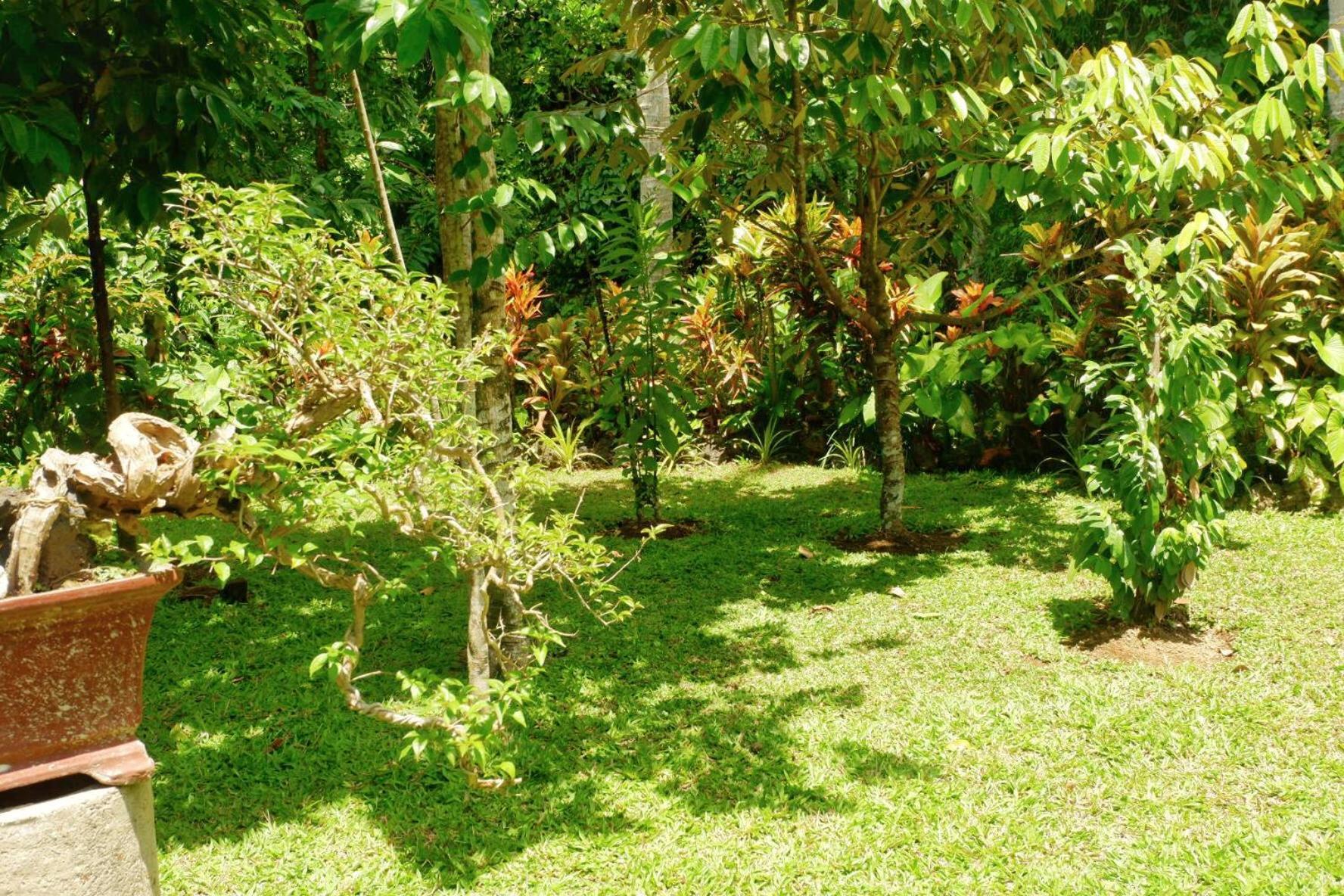 Artja Inn Ubud Kültér fotó